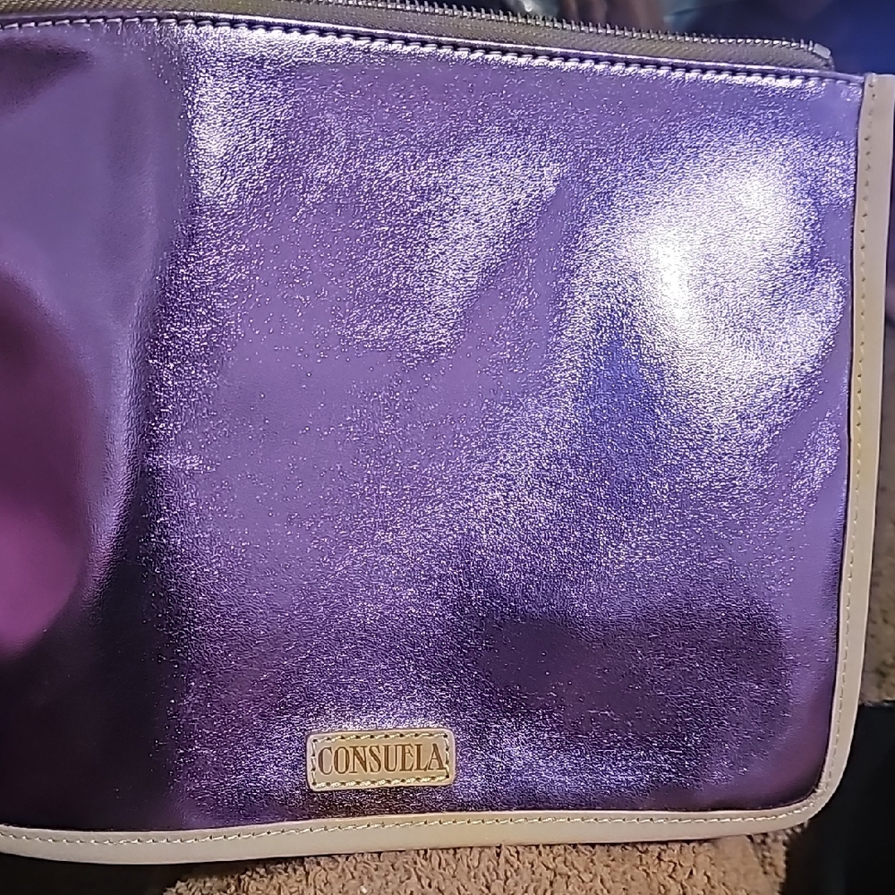 Consuela Purple Cosmetic Bag